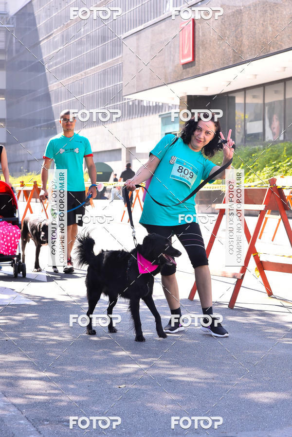 Buy your photos of the event2 Pet Run Shopping Eldorado  on Fotop