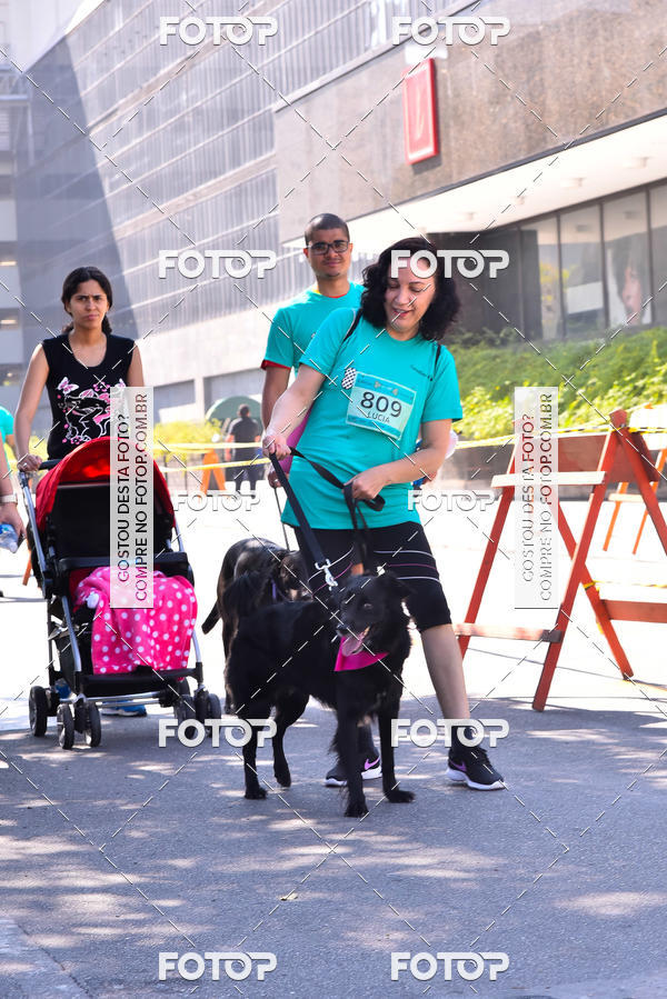 Buy your photos of the event2 Pet Run Shopping Eldorado  on Fotop