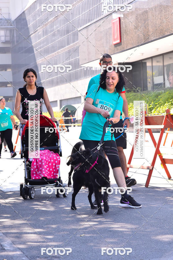 Buy your photos of the event2 Pet Run Shopping Eldorado  on Fotop