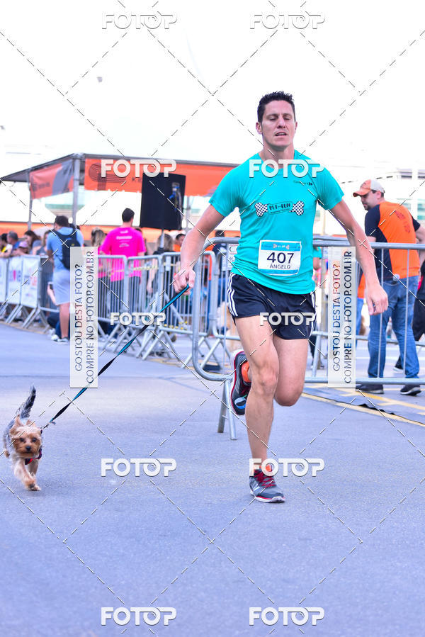 Buy your photos of the event2 Pet Run Shopping Eldorado  on Fotop