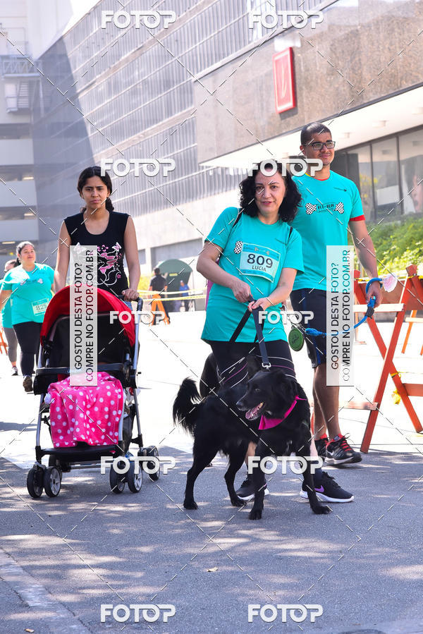 Buy your photos of the event2 Pet Run Shopping Eldorado  on Fotop