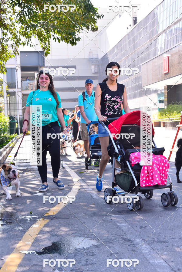 Buy your photos of the event2 Pet Run Shopping Eldorado  on Fotop