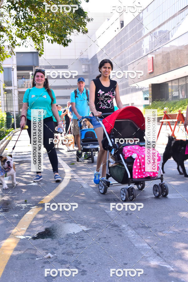 Buy your photos of the event2 Pet Run Shopping Eldorado  on Fotop