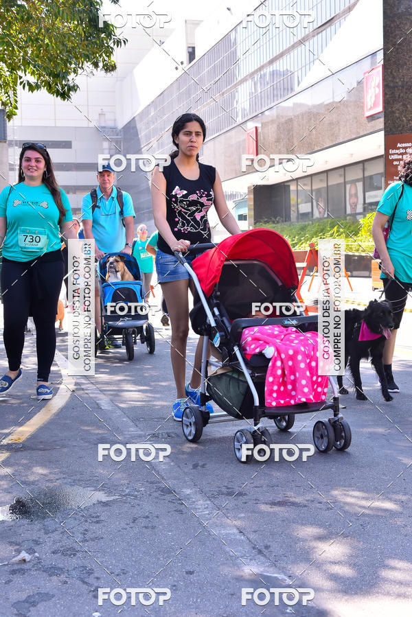Buy your photos of the event2 Pet Run Shopping Eldorado  on Fotop