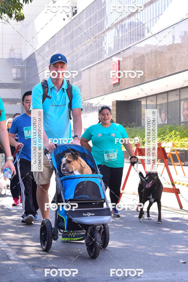 Buy your photos of the event2 Pet Run Shopping Eldorado  on Fotop