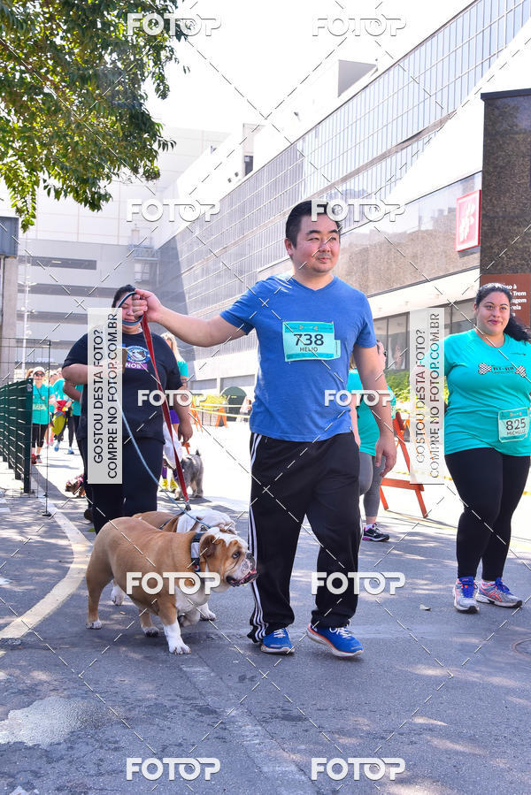 Buy your photos of the event2 Pet Run Shopping Eldorado  on Fotop