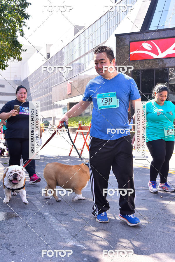 Buy your photos of the event2 Pet Run Shopping Eldorado  on Fotop
