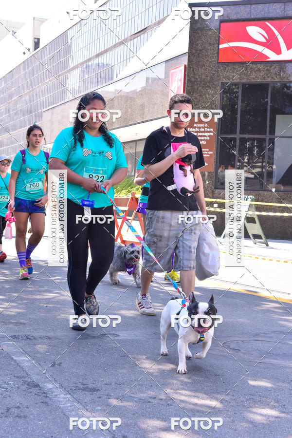 Buy your photos of the event2 Pet Run Shopping Eldorado  on Fotop