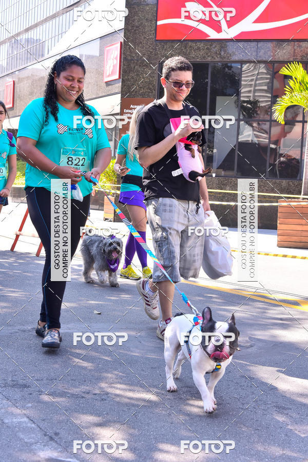 Buy your photos of the event2 Pet Run Shopping Eldorado  on Fotop