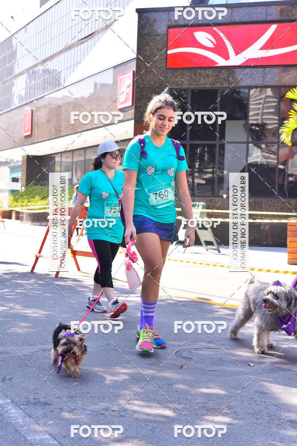 Buy your photos of the event2 Pet Run Shopping Eldorado  on Fotop