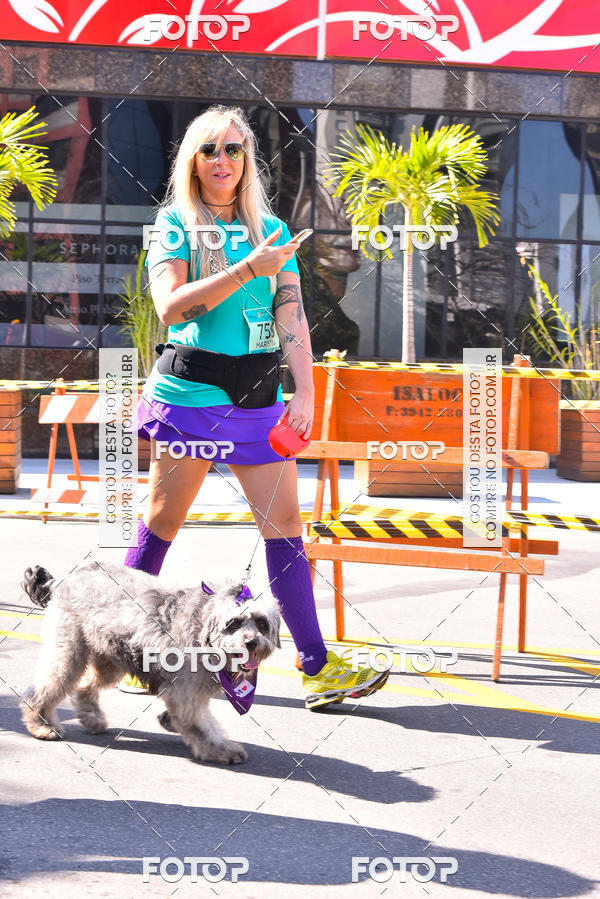 Buy your photos of the event2 Pet Run Shopping Eldorado  on Fotop