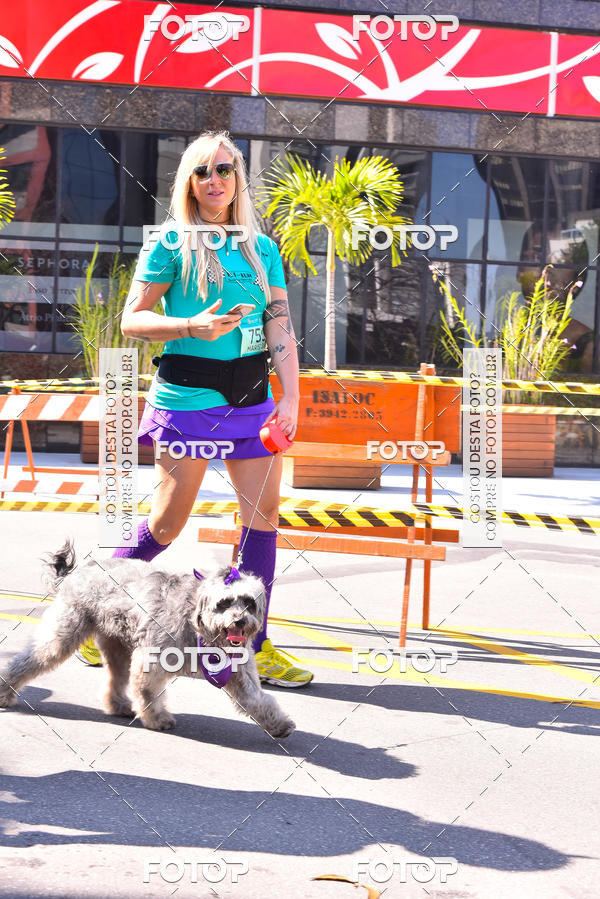 Buy your photos of the event2 Pet Run Shopping Eldorado  on Fotop