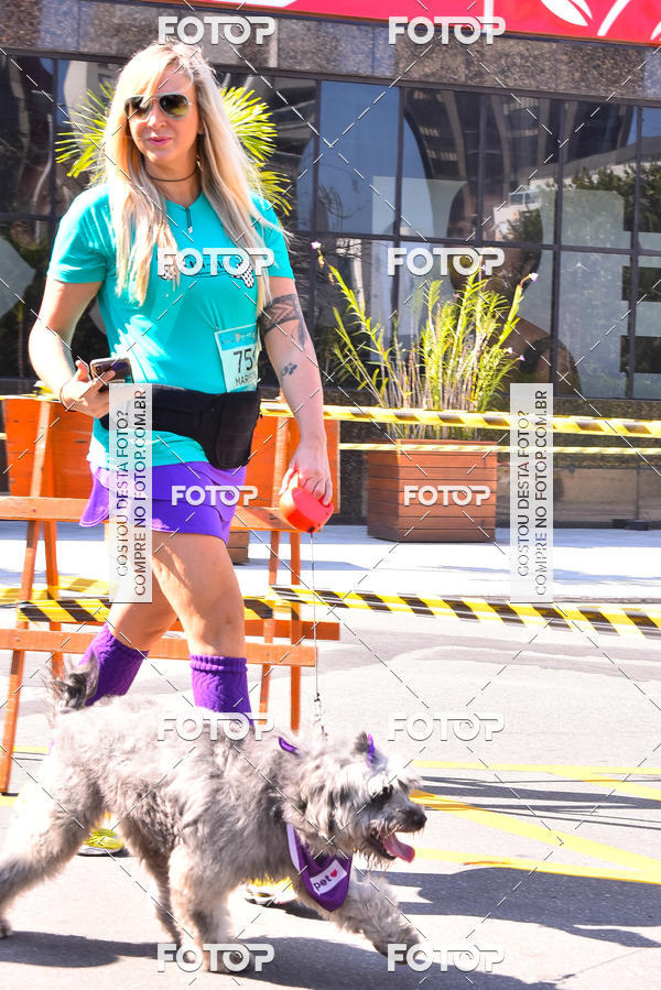 Buy your photos of the event2 Pet Run Shopping Eldorado  on Fotop