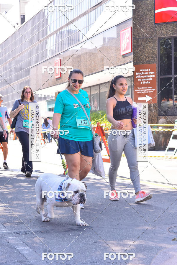 Buy your photos of the event2 Pet Run Shopping Eldorado  on Fotop