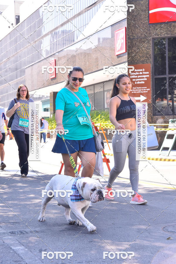 Buy your photos of the event2 Pet Run Shopping Eldorado  on Fotop