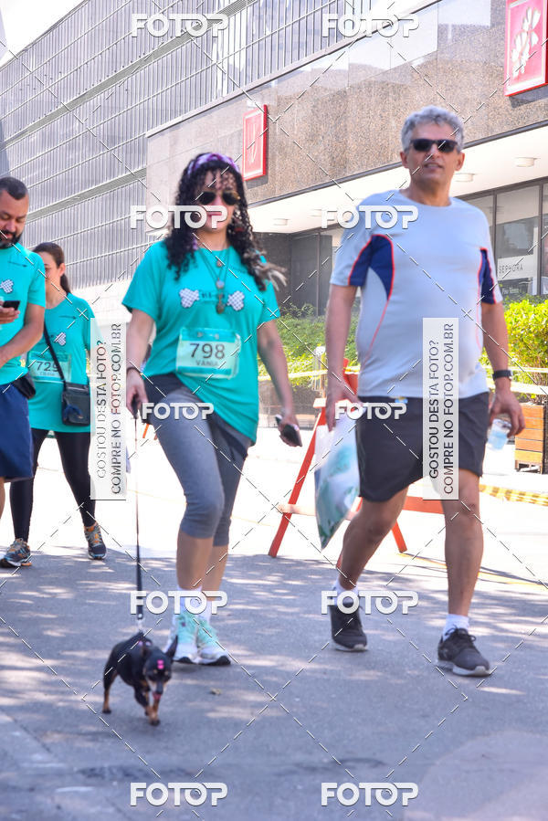 Buy your photos of the event2 Pet Run Shopping Eldorado  on Fotop