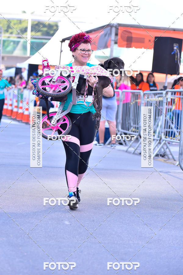 Buy your photos of the event2 Pet Run Shopping Eldorado  on Fotop