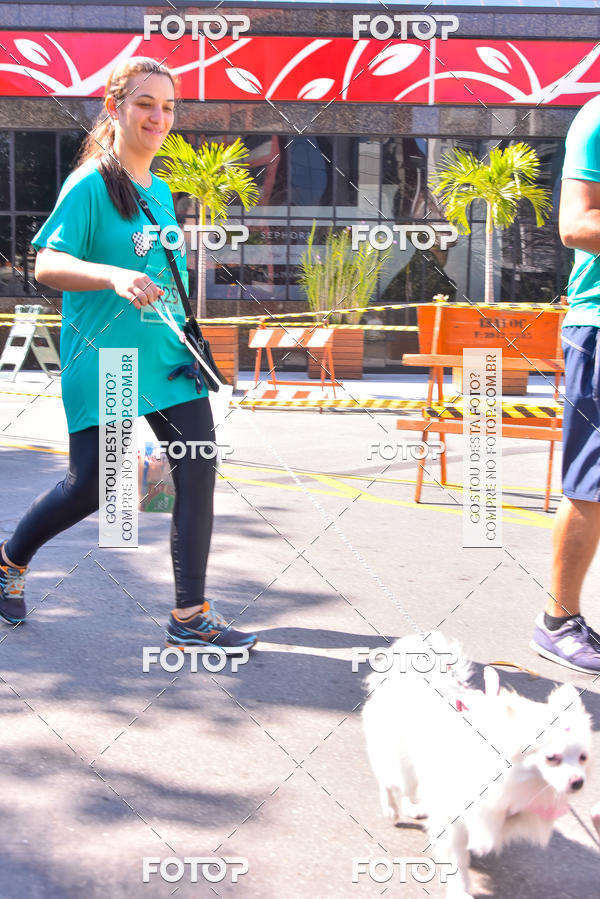 Buy your photos of the event2 Pet Run Shopping Eldorado  on Fotop