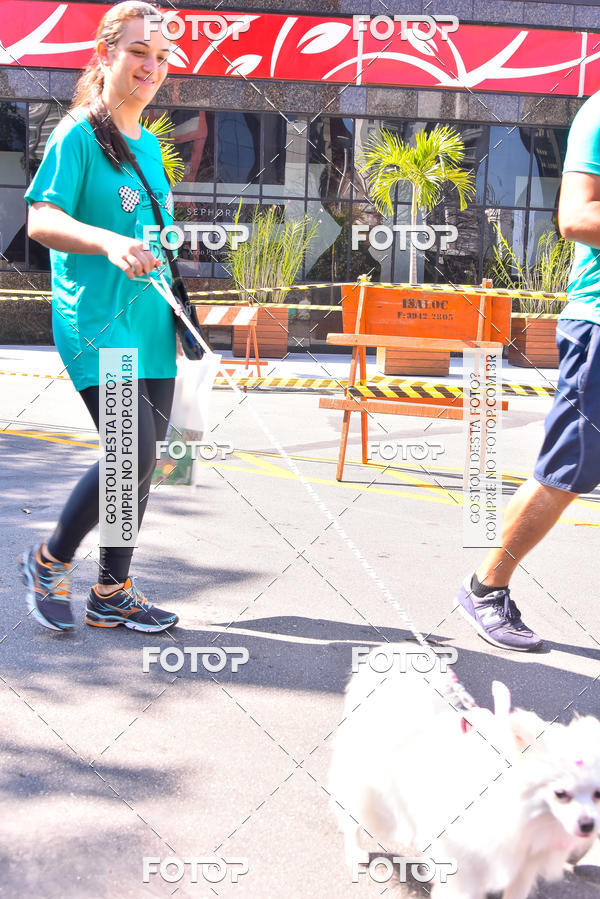 Buy your photos of the event2 Pet Run Shopping Eldorado  on Fotop
