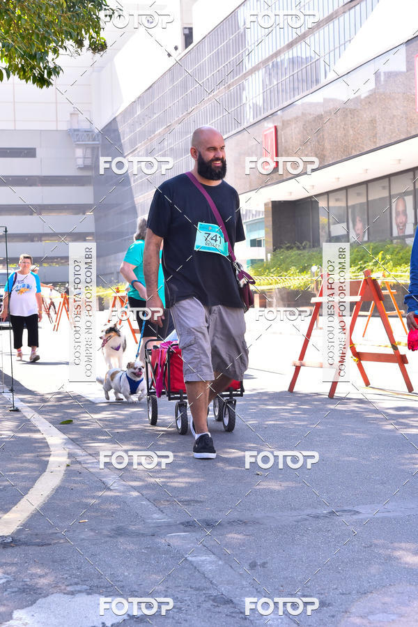 Buy your photos of the event2 Pet Run Shopping Eldorado  on Fotop