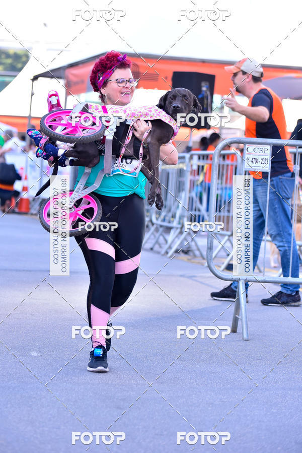 Buy your photos of the event2 Pet Run Shopping Eldorado  on Fotop