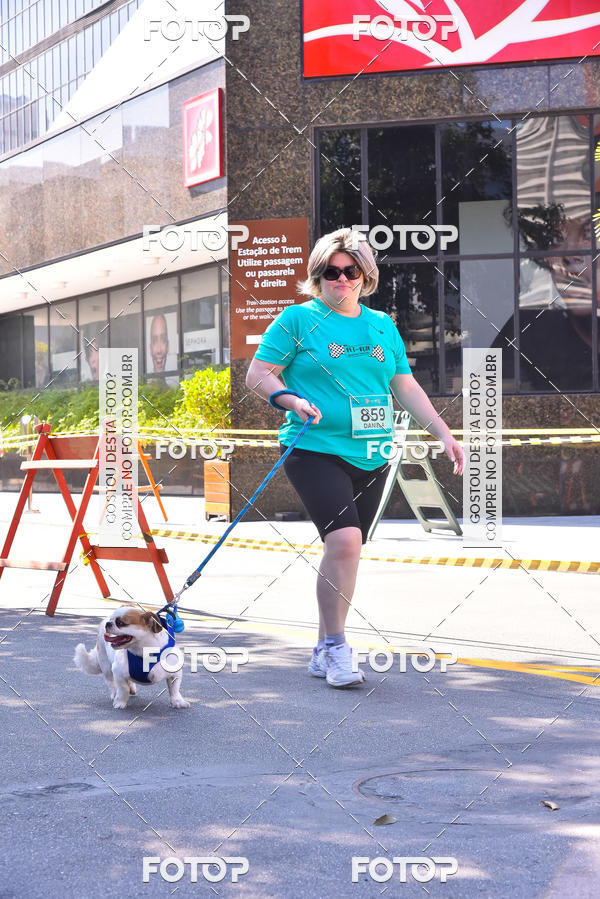 Buy your photos of the event2 Pet Run Shopping Eldorado  on Fotop