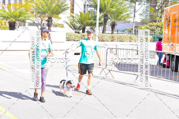 Buy your photos of the event2 Pet Run Shopping Eldorado  on Fotop