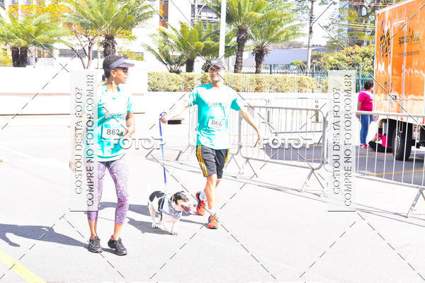Buy your photos of the event2 Pet Run Shopping Eldorado  on Fotop