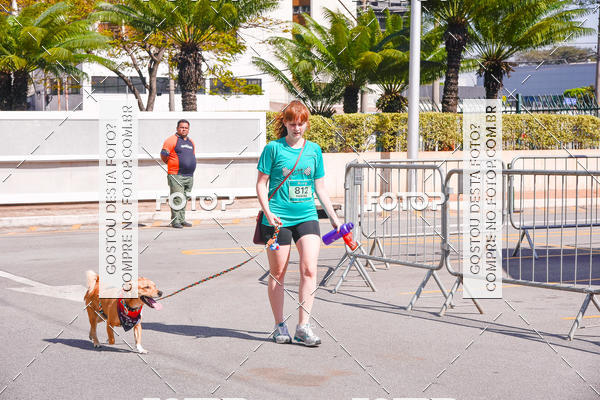 Buy your photos of the event2 Pet Run Shopping Eldorado  on Fotop