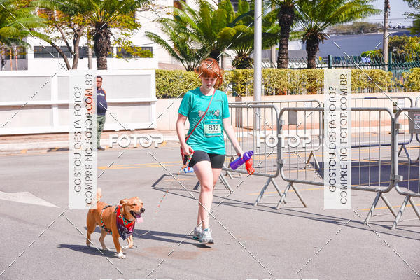 Buy your photos of the event2 Pet Run Shopping Eldorado  on Fotop