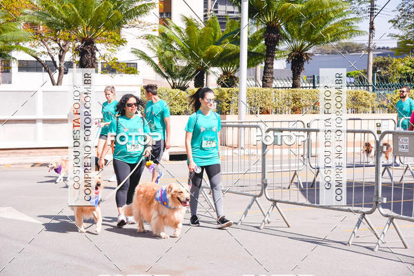 Buy your photos of the event2 Pet Run Shopping Eldorado  on Fotop