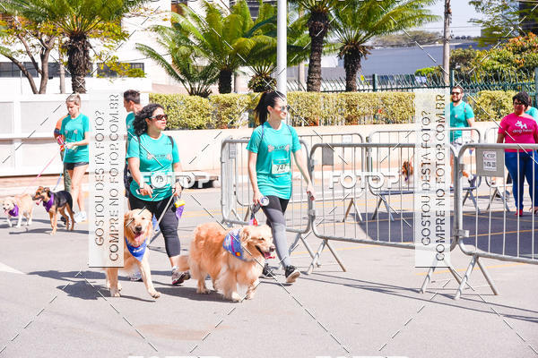 Buy your photos of the event2 Pet Run Shopping Eldorado  on Fotop