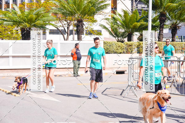 Buy your photos of the event2 Pet Run Shopping Eldorado  on Fotop