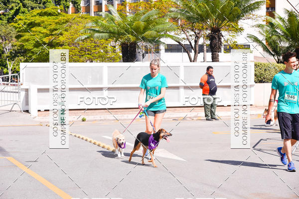 Buy your photos of the event2 Pet Run Shopping Eldorado  on Fotop