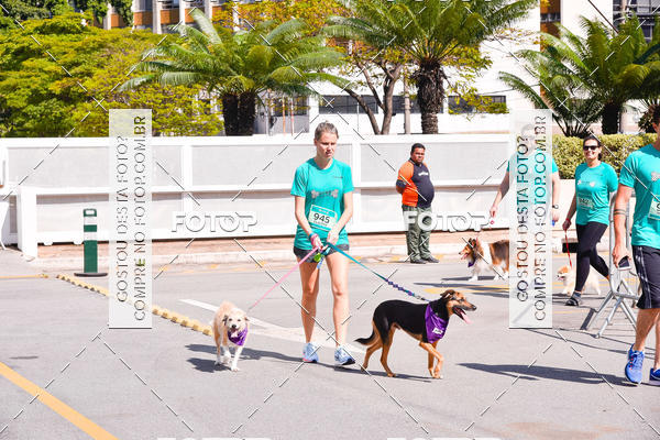Buy your photos of the event2 Pet Run Shopping Eldorado  on Fotop
