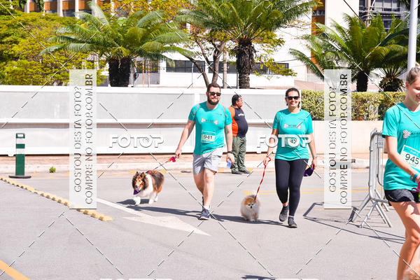 Buy your photos of the event2 Pet Run Shopping Eldorado  on Fotop