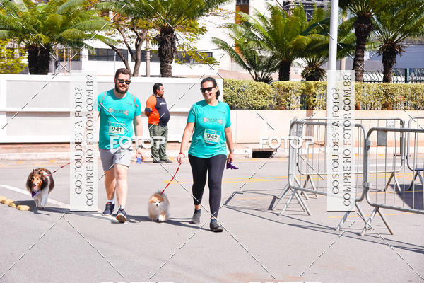 Buy your photos of the event2 Pet Run Shopping Eldorado  on Fotop