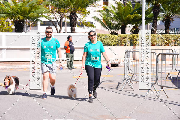 Buy your photos of the event2 Pet Run Shopping Eldorado  on Fotop
