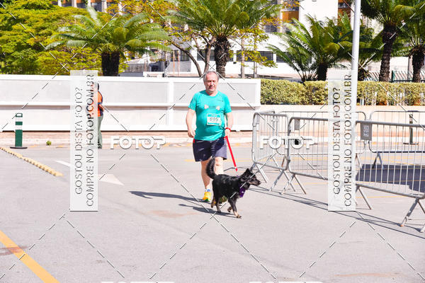 Buy your photos of the event2 Pet Run Shopping Eldorado  on Fotop
