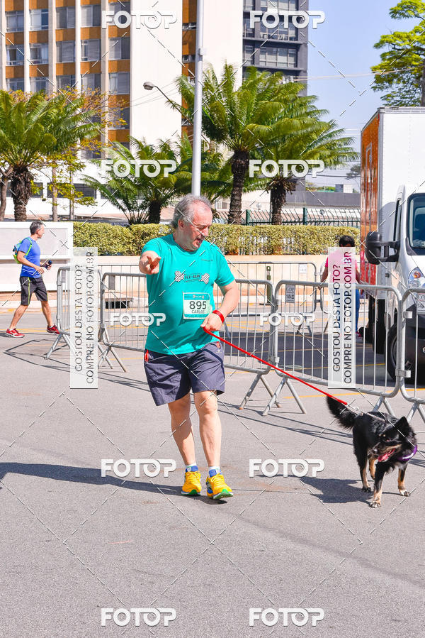 Buy your photos of the event2 Pet Run Shopping Eldorado  on Fotop