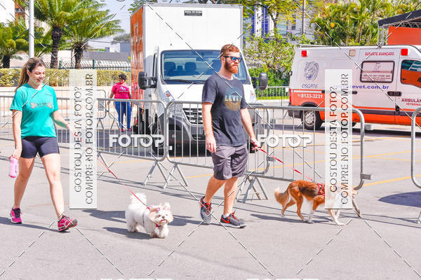 Buy your photos of the event2 Pet Run Shopping Eldorado  on Fotop