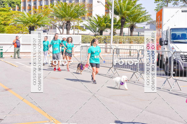 Buy your photos of the event2 Pet Run Shopping Eldorado  on Fotop
