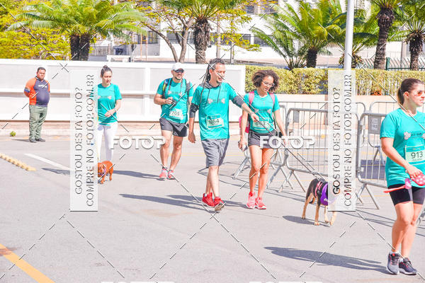 Buy your photos of the event2 Pet Run Shopping Eldorado  on Fotop