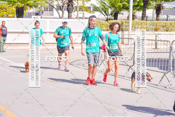 Buy your photos of the event2 Pet Run Shopping Eldorado  on Fotop