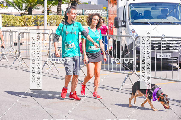 Buy your photos of the event2 Pet Run Shopping Eldorado  on Fotop