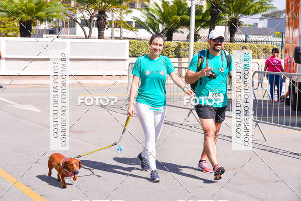Buy your photos of the event2 Pet Run Shopping Eldorado  on Fotop
