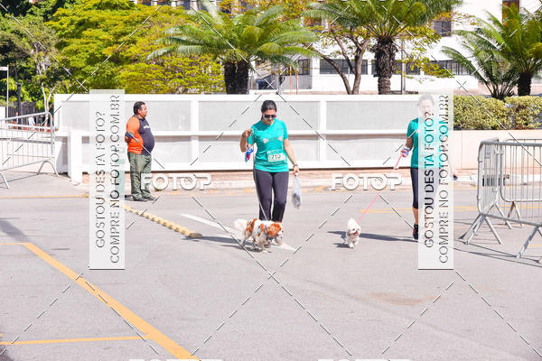 Buy your photos of the event2 Pet Run Shopping Eldorado  on Fotop