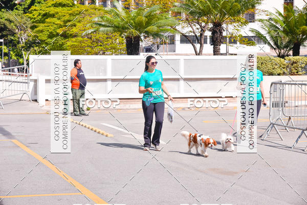 Buy your photos of the event2 Pet Run Shopping Eldorado  on Fotop