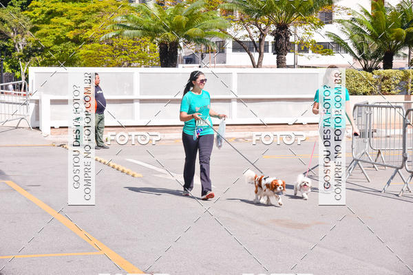 Buy your photos of the event2 Pet Run Shopping Eldorado  on Fotop