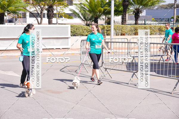 Buy your photos of the event2 Pet Run Shopping Eldorado  on Fotop